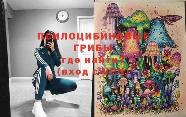 твердый Кулебаки